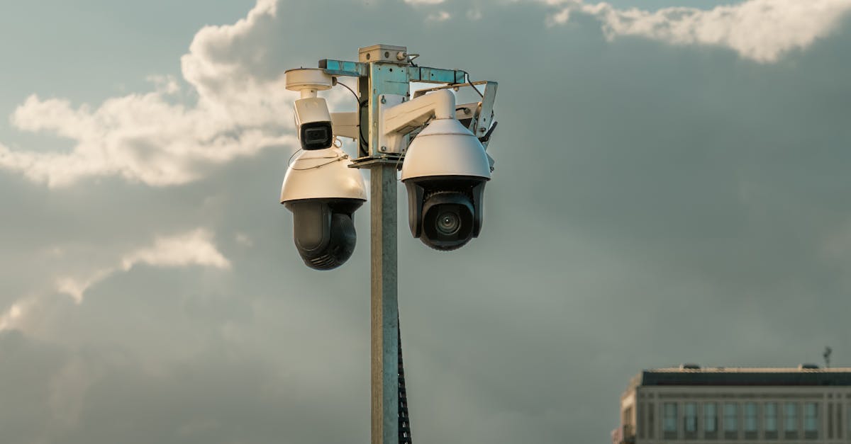 移动8元日租卡介绍- 鹤岗亚马逊平台加盟代理