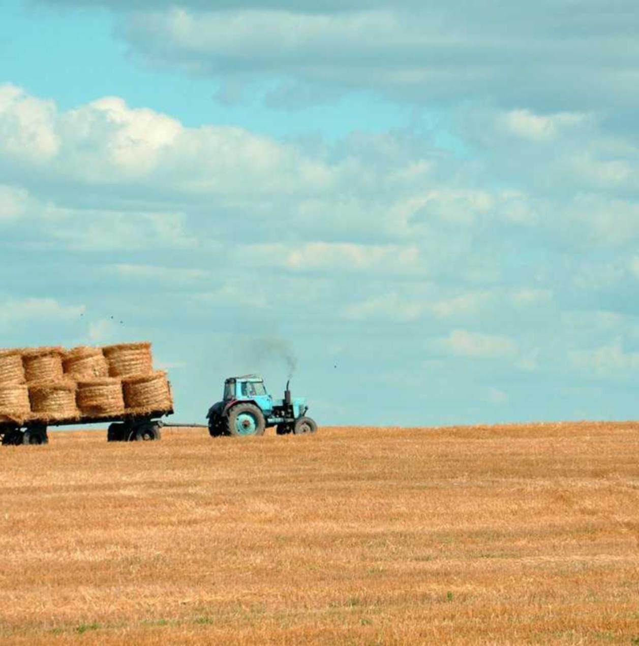 蓝MU摇摇薄荷爆珠:代理收款业务平台