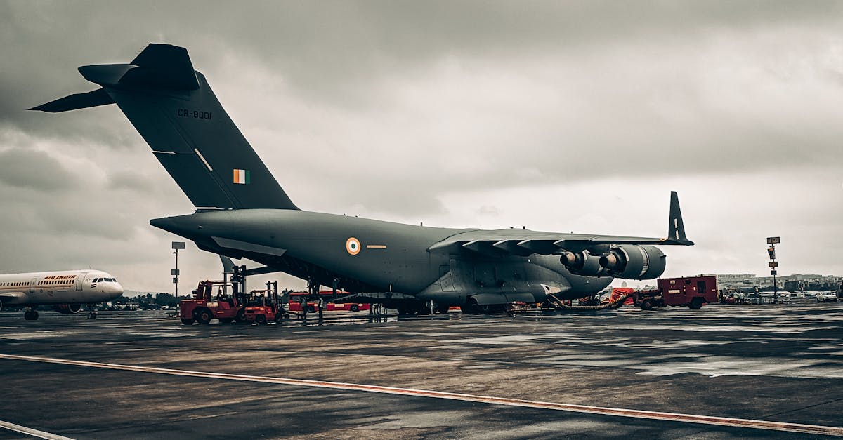 与技术支持辅助相关的自律和社会责任应该如何体现?