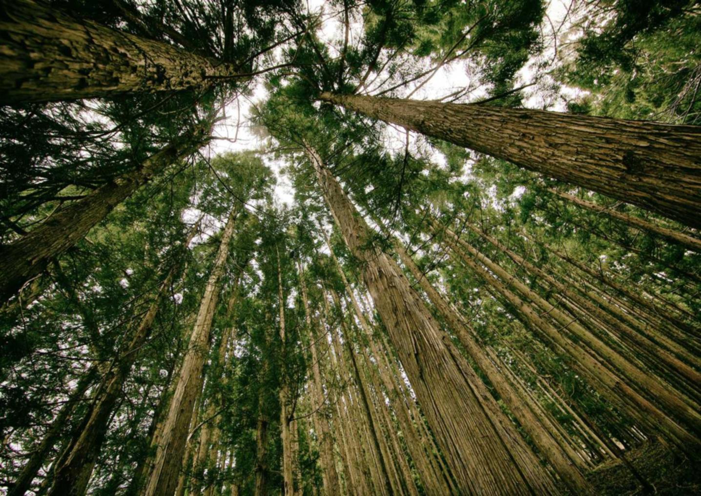 趣约会实名账号：温州市网上图书馆注册账号