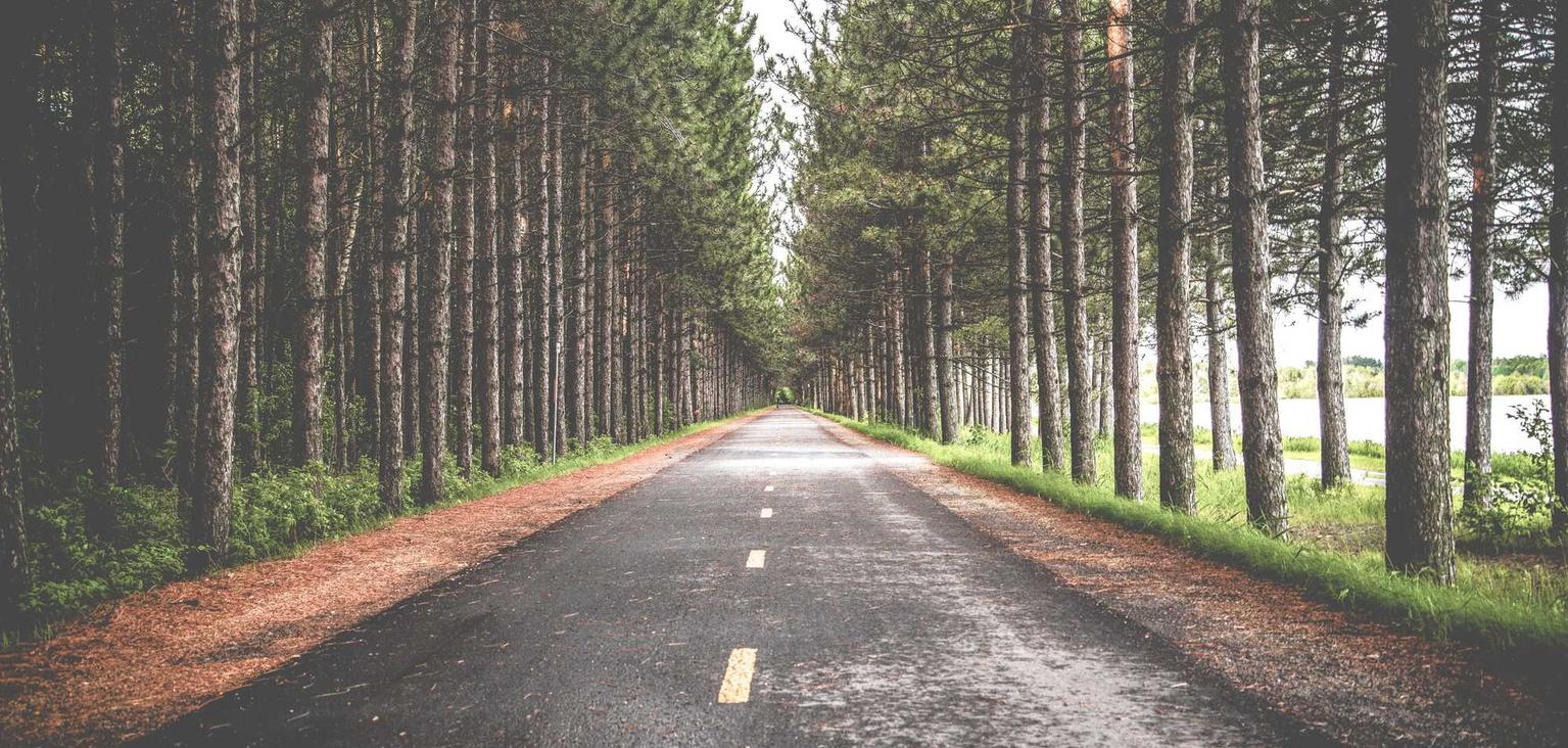 解读DDOS攻击原理防范- 鞍山宠物购买平台