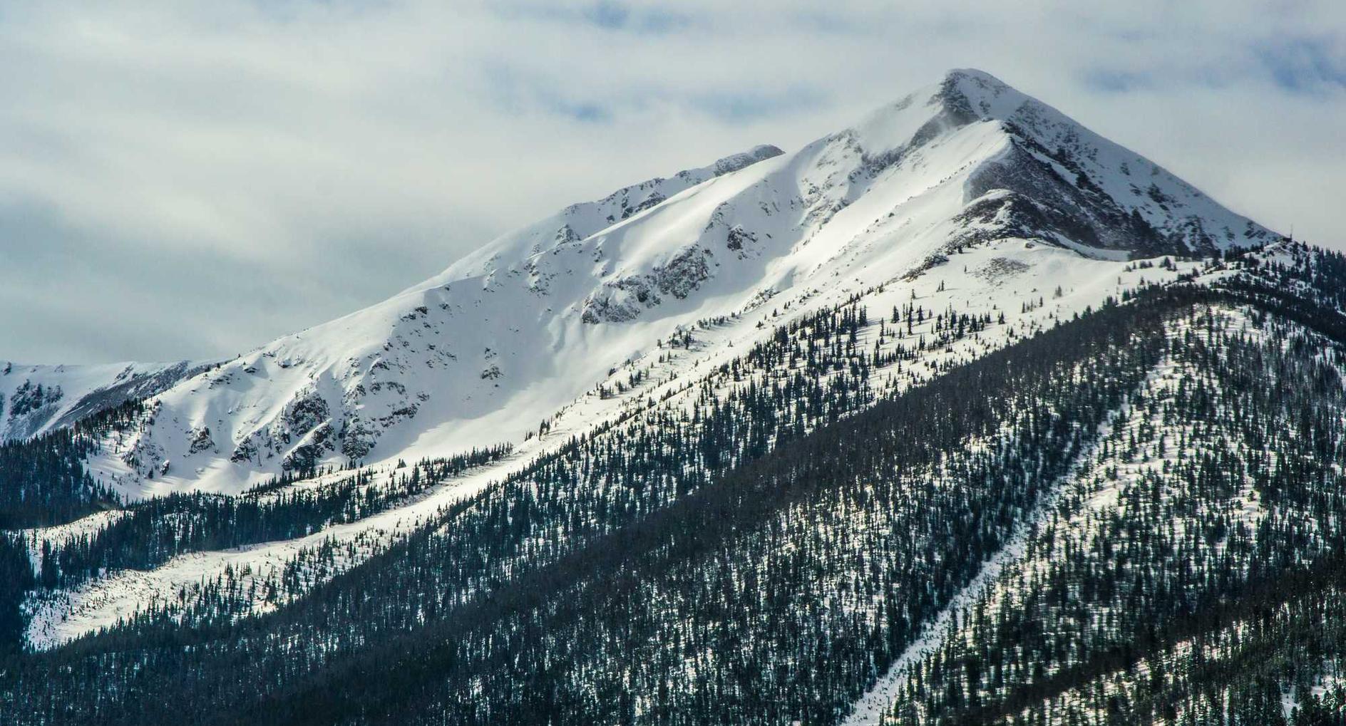 泡泡实名账号:e卡花app详情下载教程