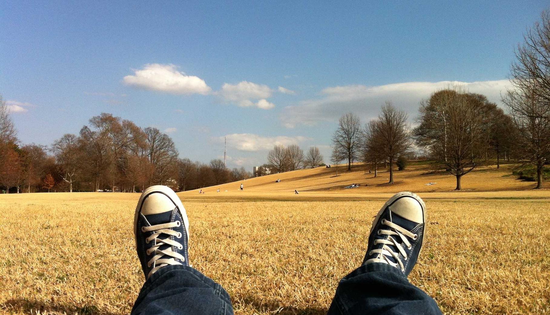 聚名网实名账号：磁力详情下载教程器app