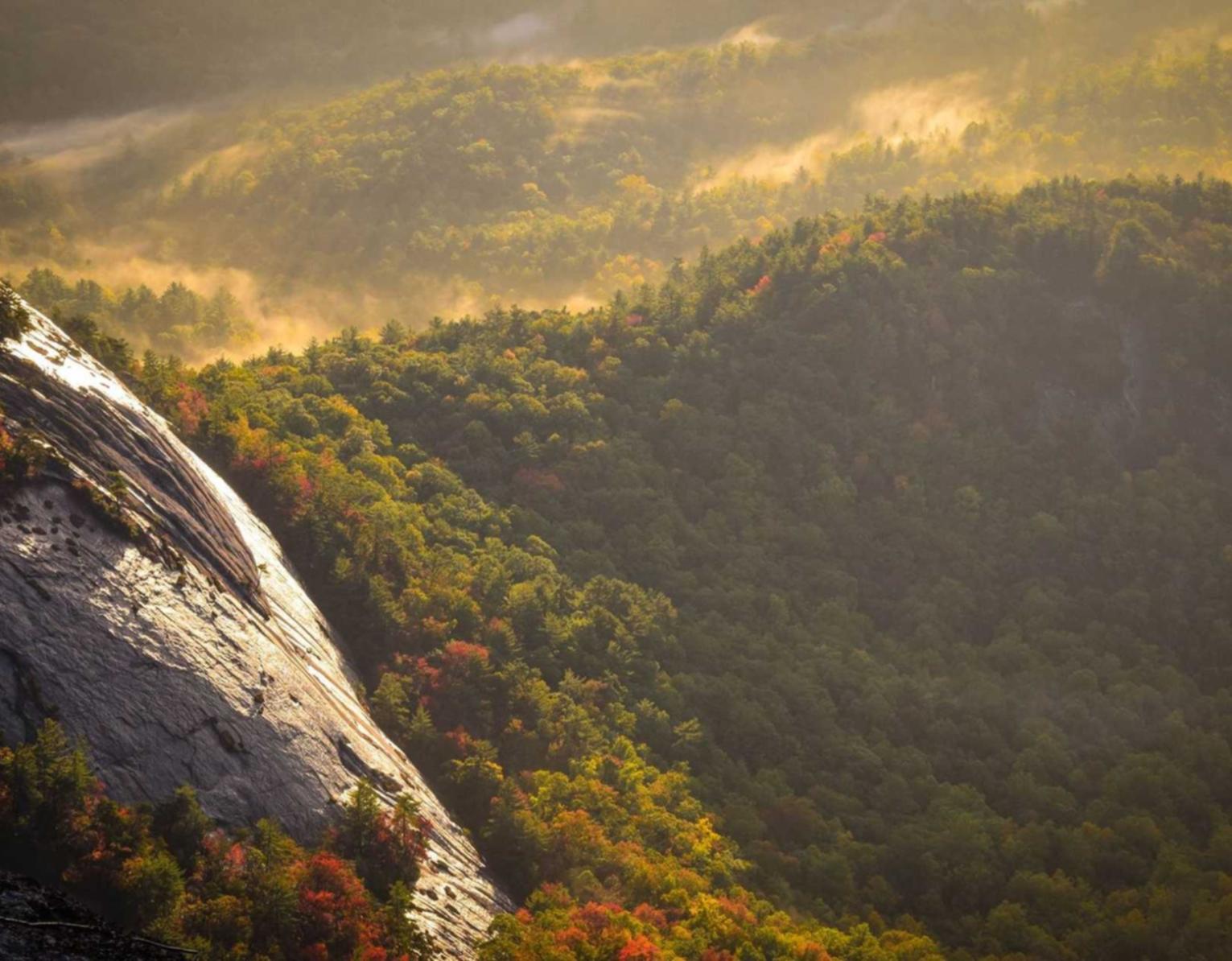 VX小号买卖：短信营销的各种类别详解