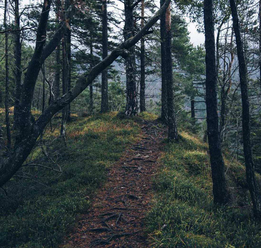 详情下载教程菜谱app详情下载教程