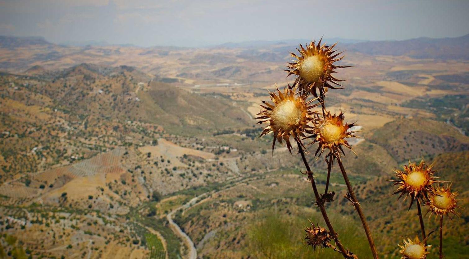 如何保护您的Linux系统