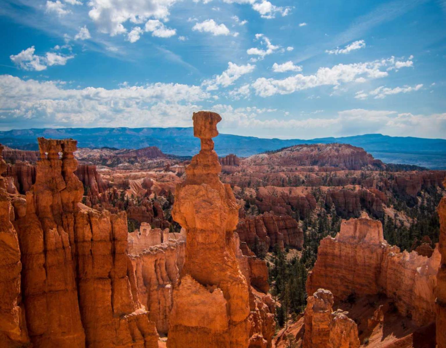 DDOS压力测试网页端|东延智慧app详情下载教程