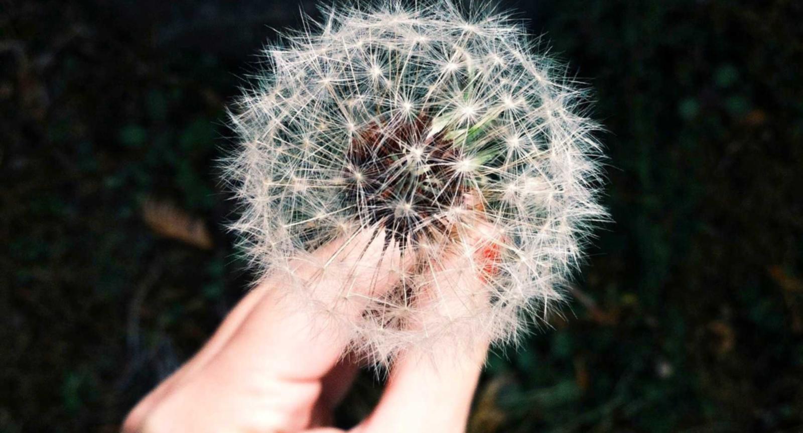 Telegram云控系统实名账号:移动创富平台开户程序