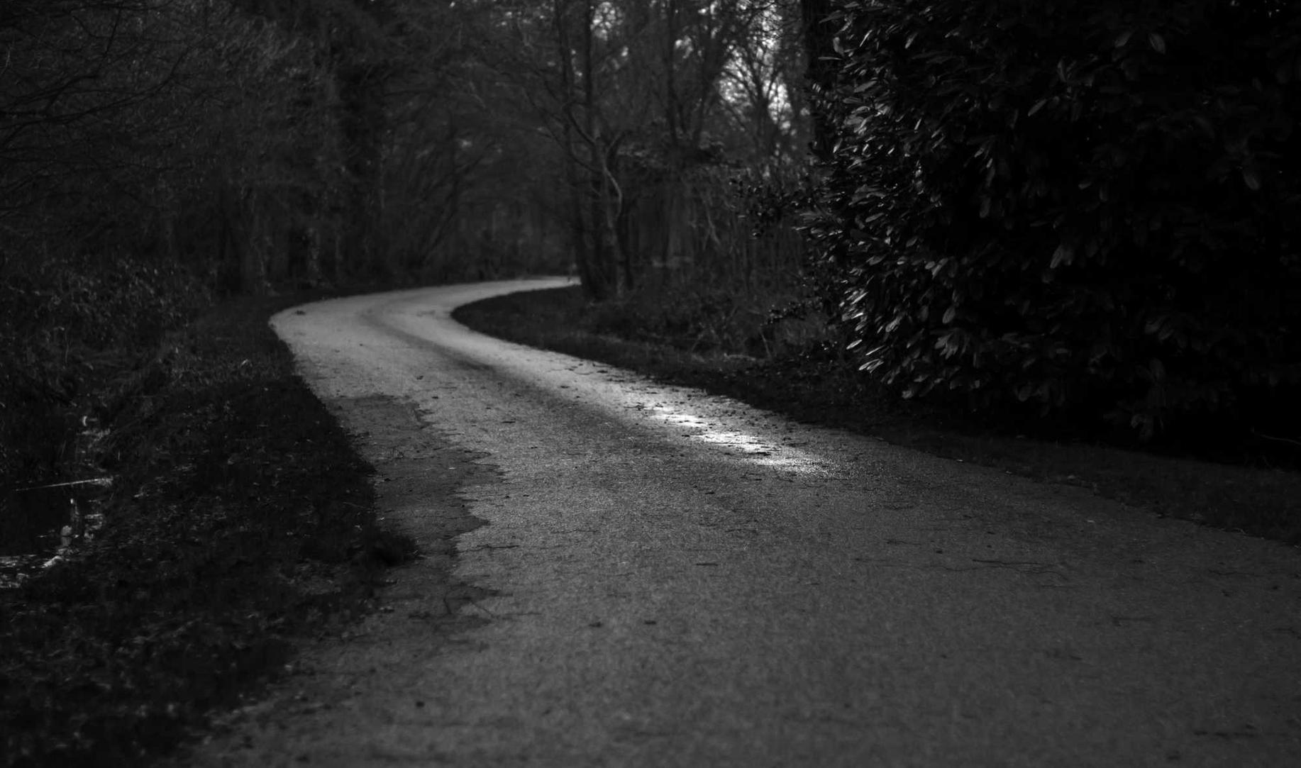 我们能否通过道德教育来制止技术支持现象的蔓延?