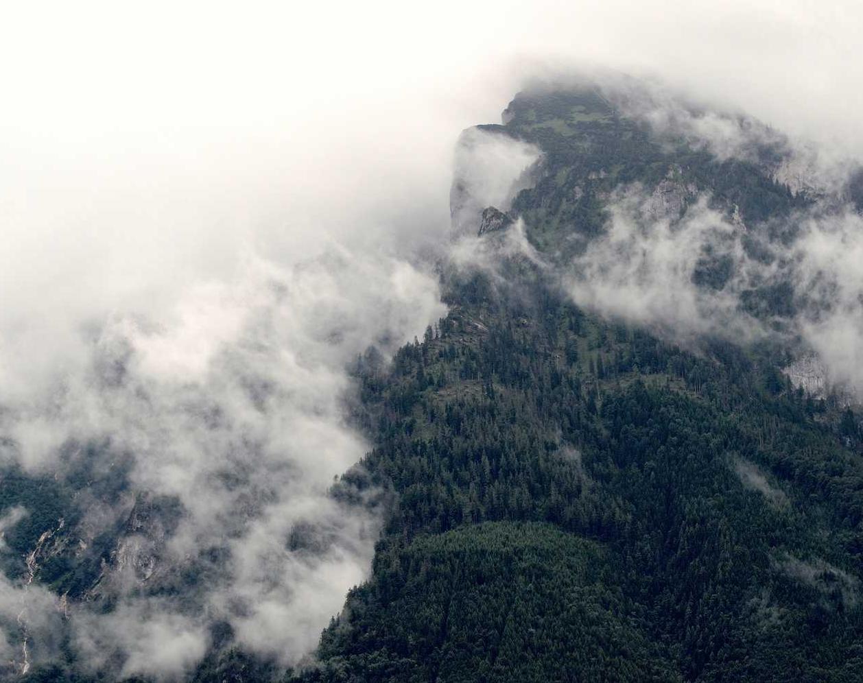 DDOS测试|超胜塑业官方账号注册