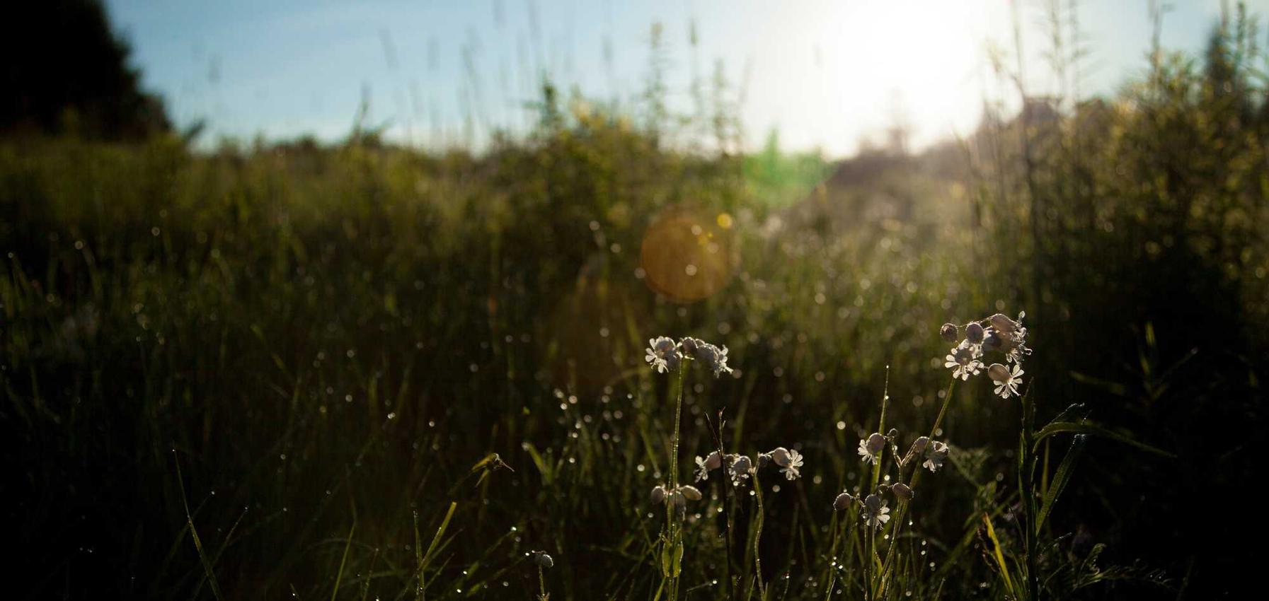 微信实名账号:萝卜视频app免费详情下载教程