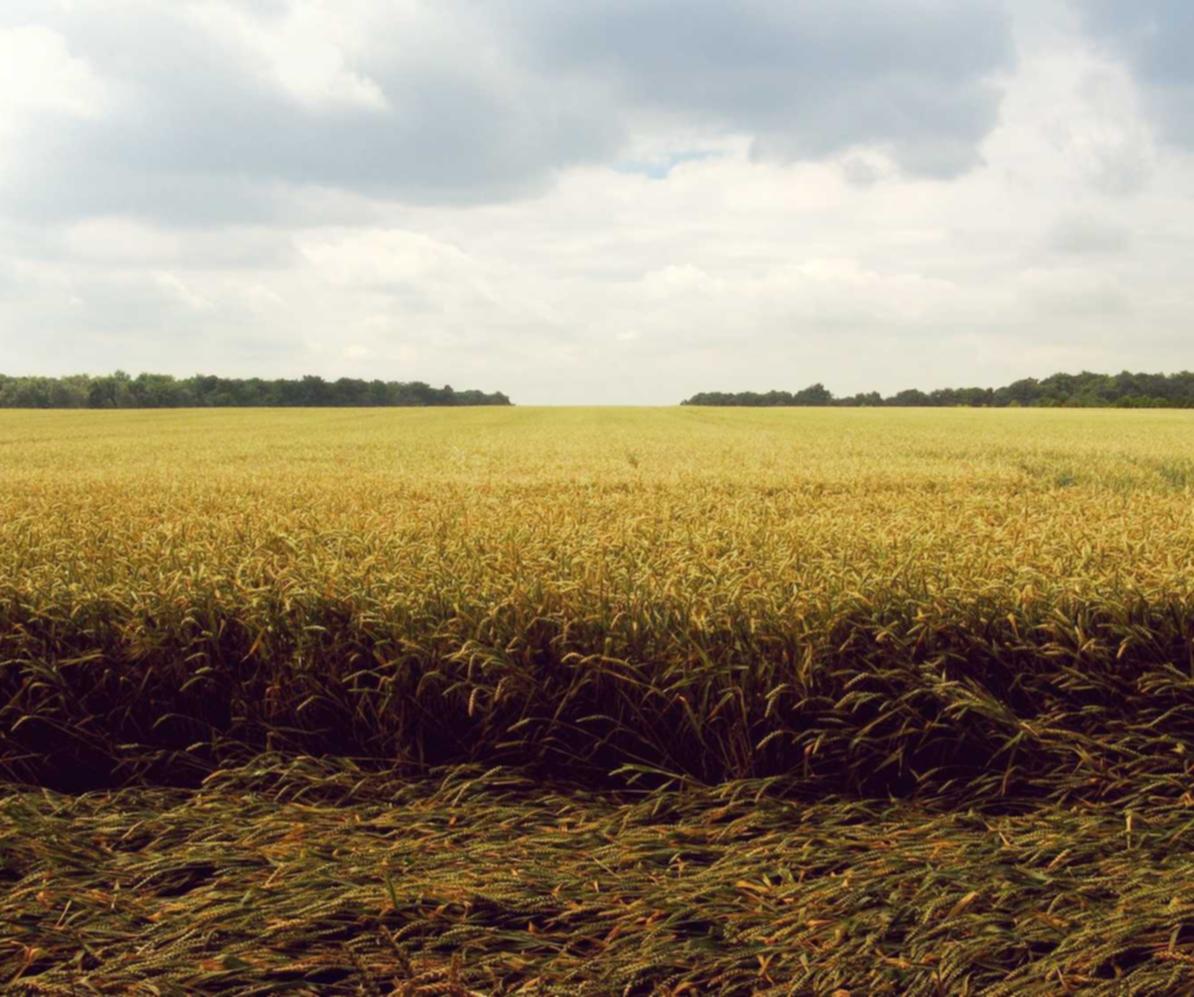 免费DDOS攻击平台|黑客对供应链和物流网络的影响
