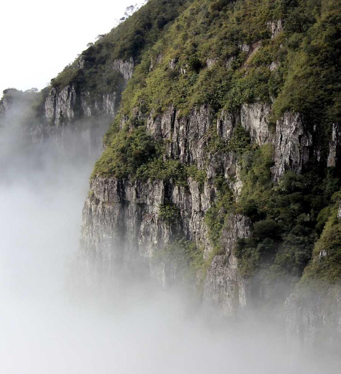 海豚之星娱乐，注册|影啪啪app详情下载教程